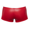 Svenjoyment Boxer Terio Rouge